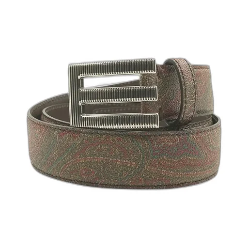 Paisley Printed Belt