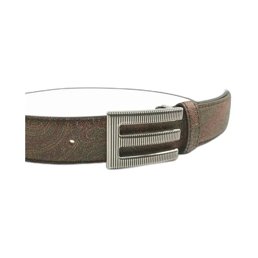 Paisley Printed Belt