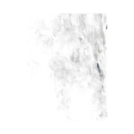 Allover Falena Printed Short Sleeved Shirt