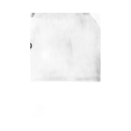 Loden Coat