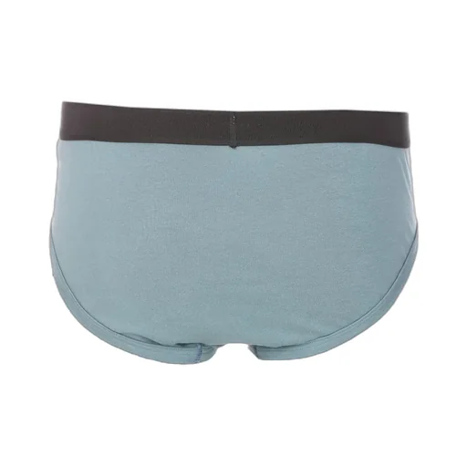 Logo Waistband Stretched Briefs