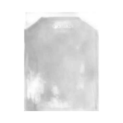 Graphic Printed Crewneck T-Shirt