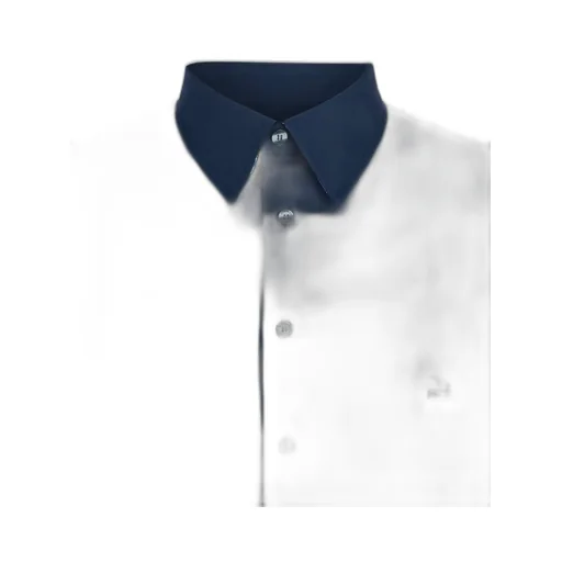 Logo Embroidered Collared Button-Up Shirt
