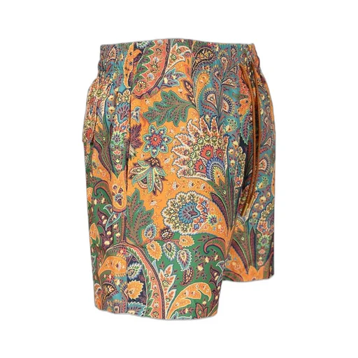 Paisley Printed Drawstring Swim Shorts