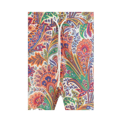 Paisley Printed Swim Shorts