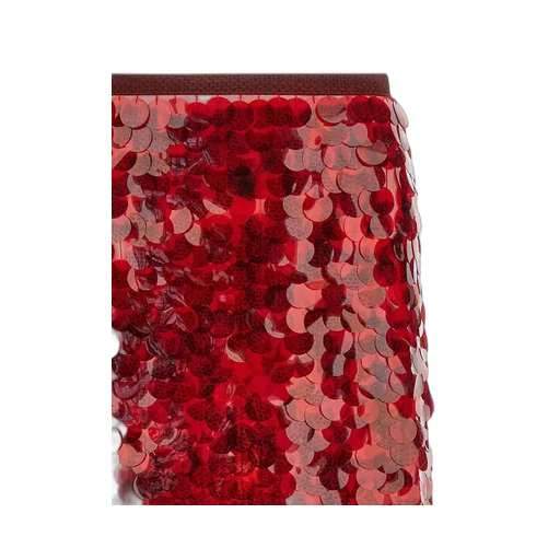 Sequin Flared Skirt
