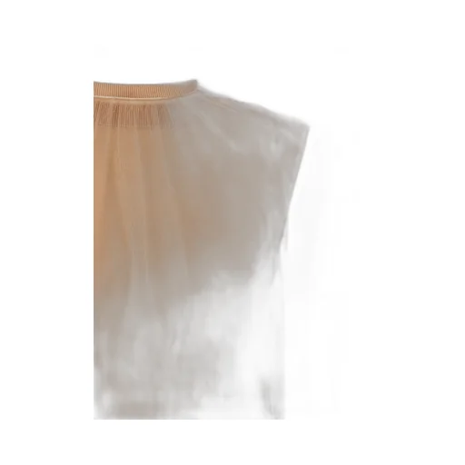 Tulle Layer Tank Top