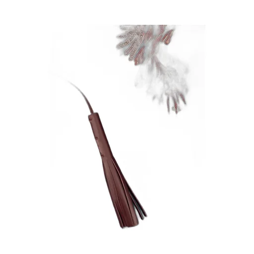 Paisley-Printed Tassel-Detailed Poncho
