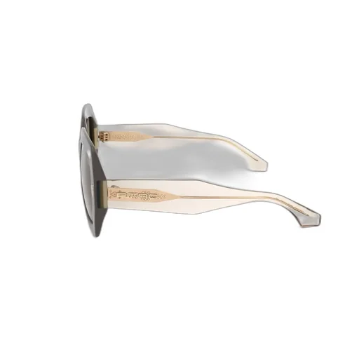 Square Frame Sunglasses