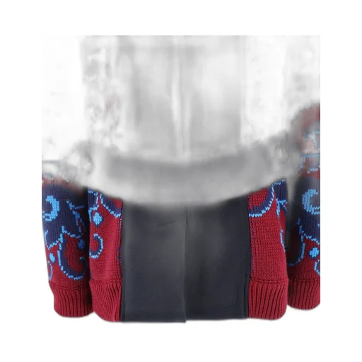 Paisley Intarsia Double-Breasted Jacket