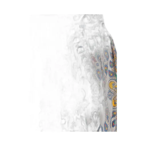 Paisley Printed Midi Skirt