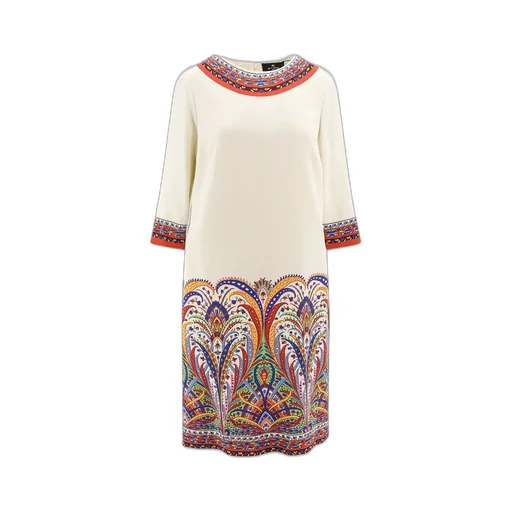 Paisley Printed Crewneck Dress
