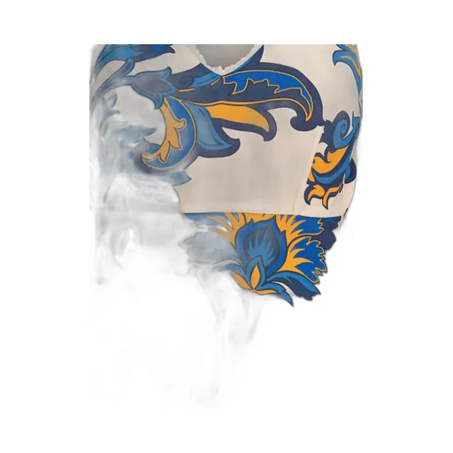 Paisley Printed V-Neck Midi Dress