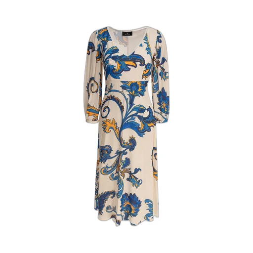 Paisley Printed V-Neck Midi Dress