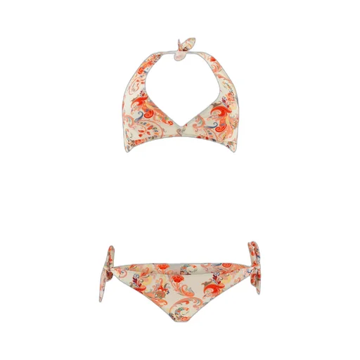 Paisley Printed Bikini