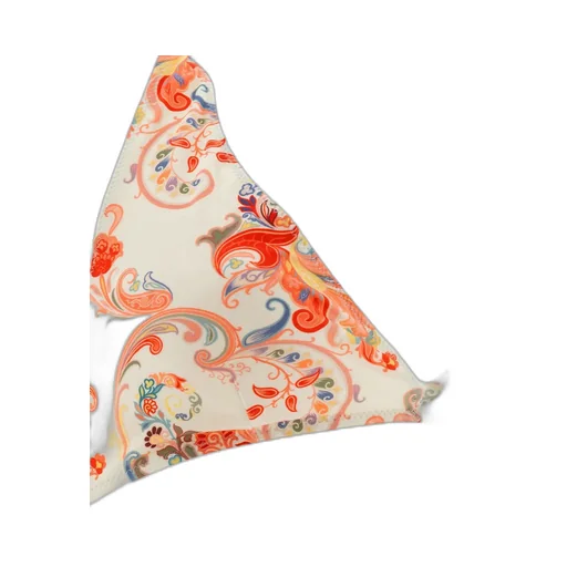 Paisley Printed Bikini