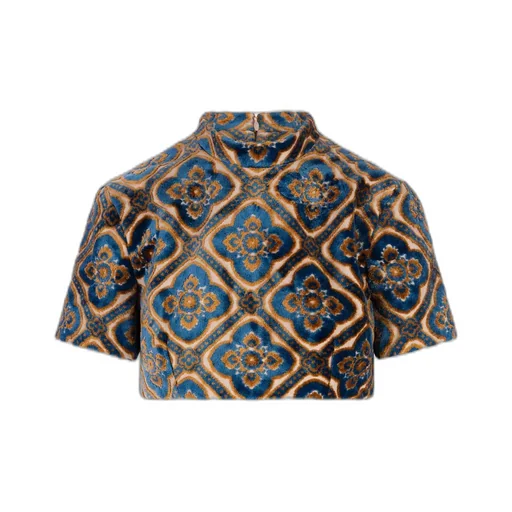 Paisley Print Cropped Top