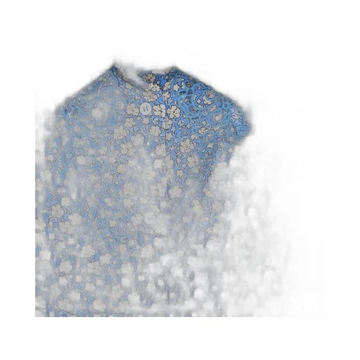 Lace-Trim Floral Shirt