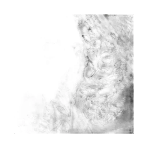 Lace Panel Dress