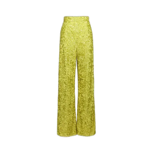 Sequin Embellished Flared Pants