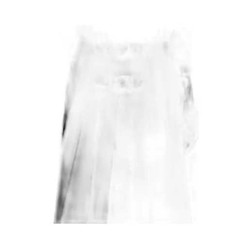 Pleated Midi Skirt