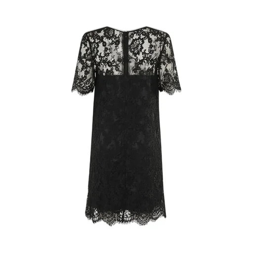 Shoer-Sleeevd Laced Mini Dress
