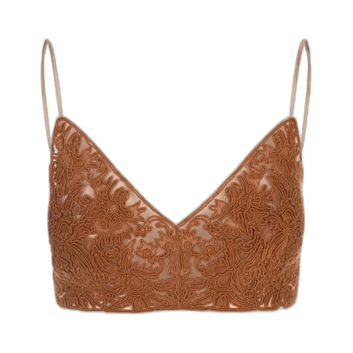 V-Neck Embroidered Cropped Top
