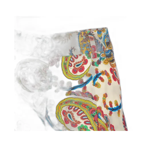 Paisley Printed Shorts