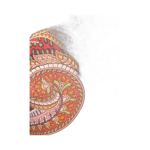 Paisley Printed Long-Sleeved Top