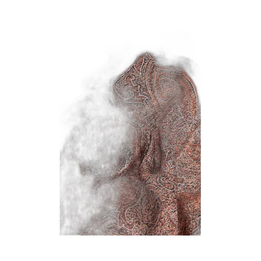 Floral Paisley Motif Scarf