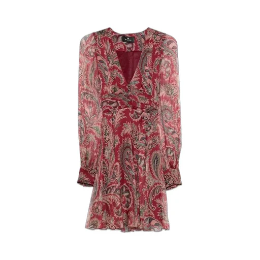 Paisley Printed V-Neck Long-Sleeved Mini Dress