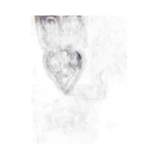 Paisley Printed Scarf