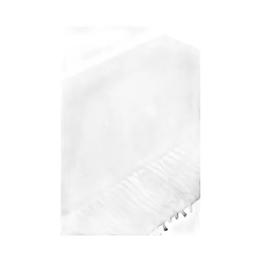 Logo Embroidered Fringed Edge Scarf