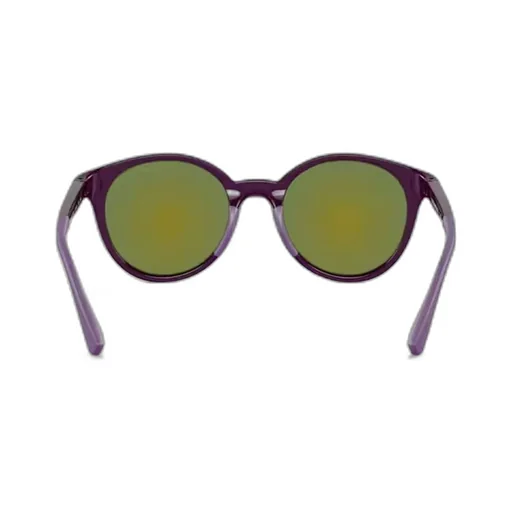 Round Frame Sunglasses