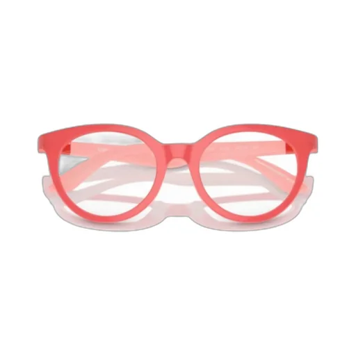 Round Frame Glasses