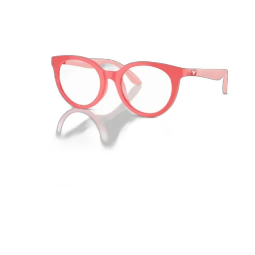 Round Frame Glasses