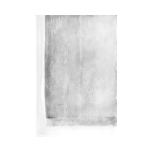Logo Jacquard Frayed Hem Scarf