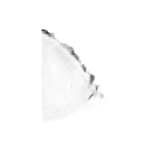Logo Underband Asv Iconic Padded Triangle Bra