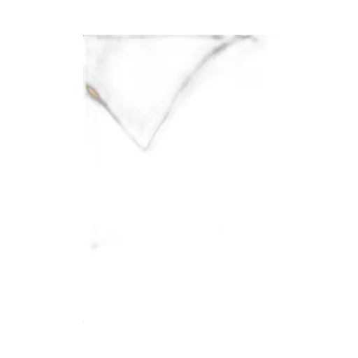 Logo Underband Asv Iconic Padded Triangle Bra