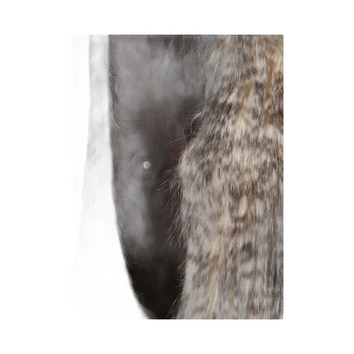 Coco Long-Sleeved Shearling Coat