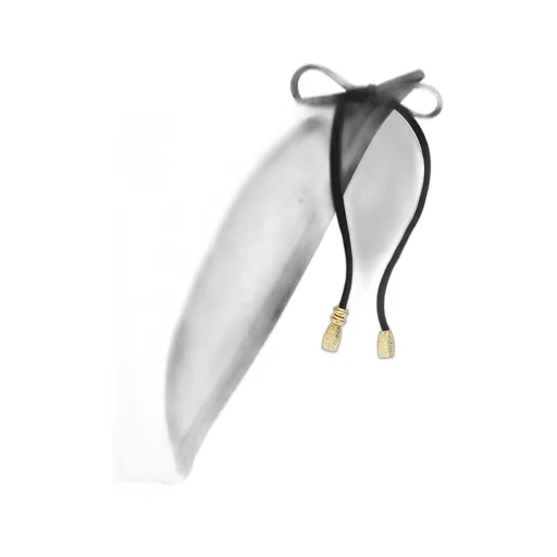 Low Rise Exquise Bikini Bottoms