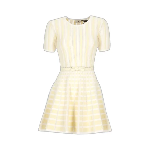 Micro Ruffles Dress
