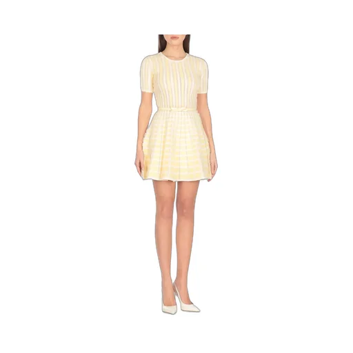 Micro Ruffles Dress