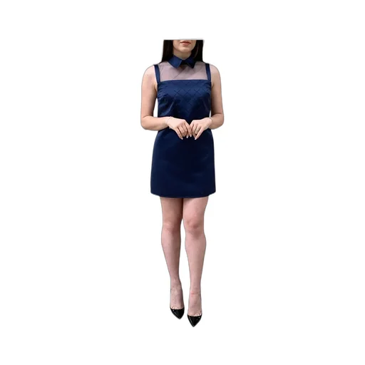 Embellished Duchesse Satin Dress