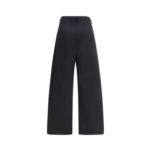 Wide-Leg Pleated Pants