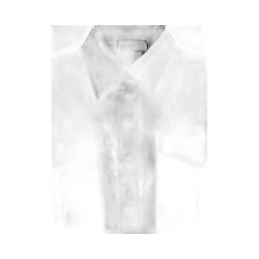 Short-Sleeved Poplin Shirt