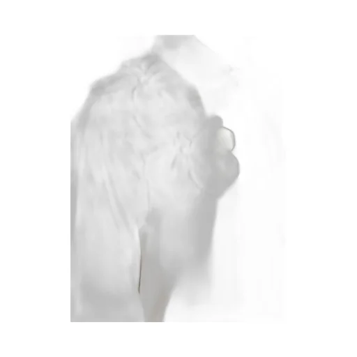 Poplin Shirt