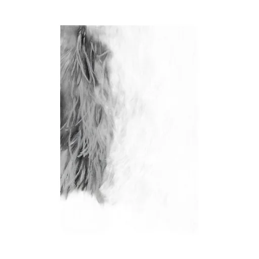 Faux Fur Vest