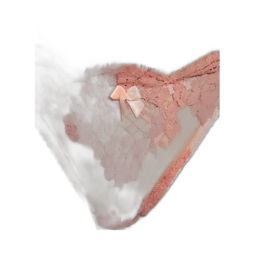 Bow Detailed Lace Thongs
