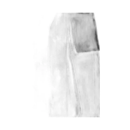 Icon Cargo Pants